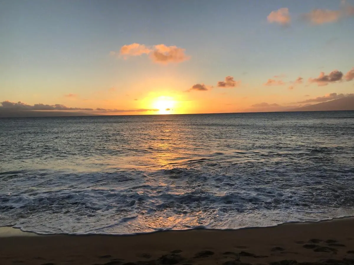 Maui Westside Presents - Luana Garden Villas 18C Kaanapali United States